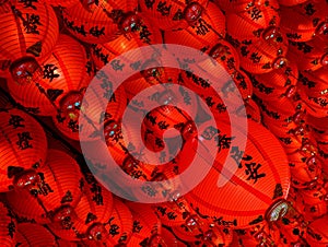 An array of vibrant red Taiwanese lanterns hanging from ceiling, labeled with Chinese hieroglyphs photo