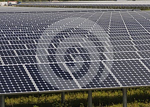 Array of solar panels