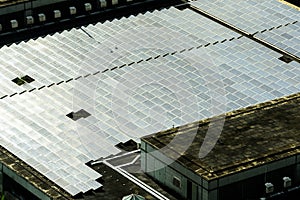 An array of solar panels glistening under the sun photo