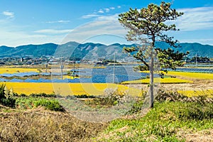 Array of solar panels in rural farmland