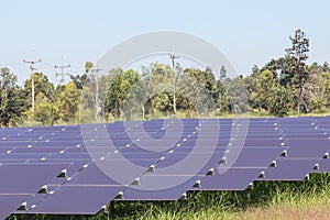 Array of thin film solar cells or amorphous silicon solar cells or photovoltaics in solar power plant photo
