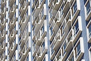 Array of windows