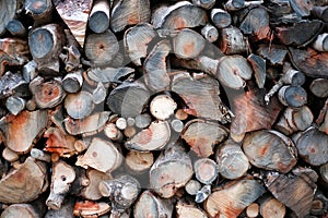 Array of wood products displayed for sale in a store.