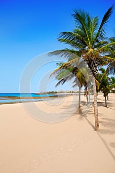 Arrecife Lanzarote Playa Reducto beach palm trees photo