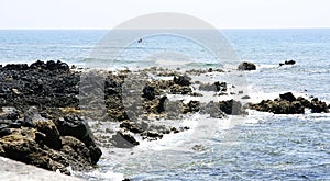 Arrieta on the coast of Lanzarote photo