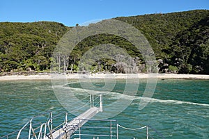 Arriving at Tonga quarry in Abel Tasman National Park, New Zealand