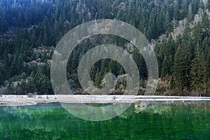 Arrow bamboo lake jiuzhai winter