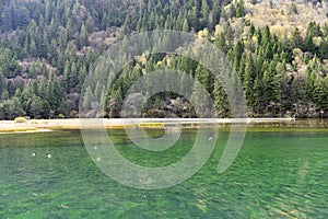 Arrow Bamboo Lake, Jiuzhaigou