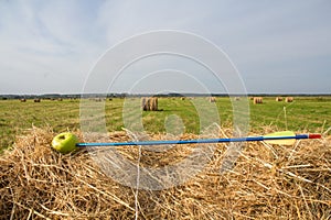 Arrow caught the Apple in a haystack