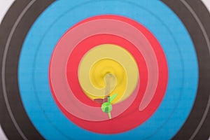 Arrow hit goal ring in archery target