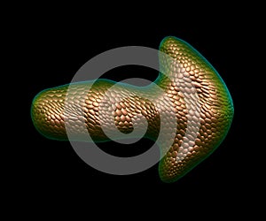 Arrow made of natural gold snake skin texture isolated on black. 3d