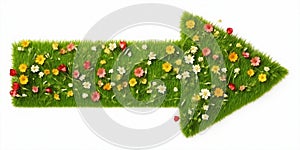 Arrow shape made up of flowers and grass. Flowery grassy right arrow symbol isolated on white background