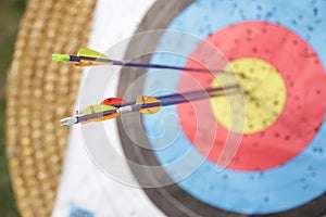 Arrows in archery target