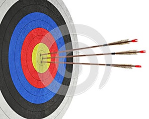 Arrows hit directly in the center of target.