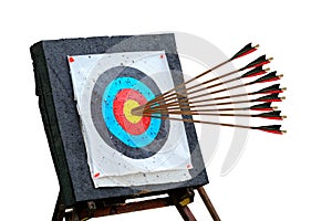 Arrows Hitting The Center Of Target isolated on white Success Business Concept conceptual