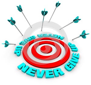Arrows Miss Bulls-Eye - Never Give Up