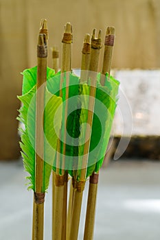 Arrows with natural plumage