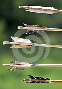 Arrows nock detail on green background