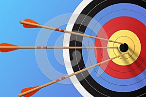 Arrows in the target, vector illustration