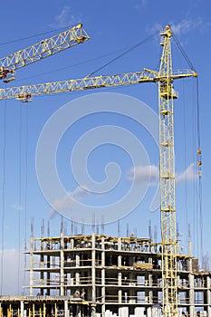 The arrows of the Yellow Tower Cranes intersect against a blue sky.