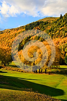 Arrowtown in South Island New Zealand.