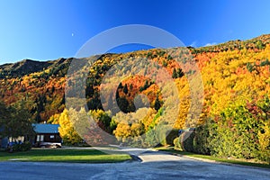 Arrowtown in South Island New Zealand.