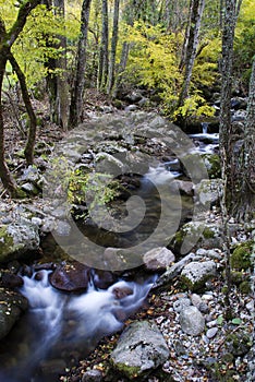 Arroyo Balozano Hervas Caceres Extremadura in Autumn long exposure silky water photo