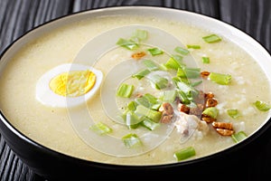 Arroz Caldo soup with rice, chicken and egg close-up. horizontal photo