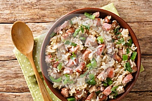 Arroz carreteiro is a hearty rice and meat dish close up in the bowl. Horizontal top view photo