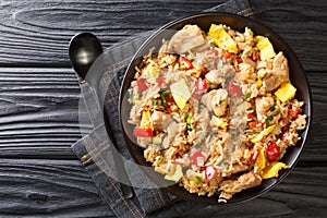 Arroz Chaufa Peruvian Fried Rice close up in the bowl. Horizontal top view photo