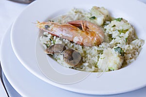 Arroz de Tamboril or soupy seafood rice on plate photo