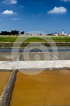 Ars-en-RÃ© - Isle of RhÃ©: salt evaporation ponds