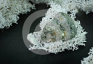 Arsenopyrite from China or Indonesia. Natural mineral stone on a black background surrounded by moss. Mineralogy photo