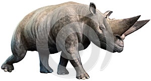 Arsinoitherium from the Eocene era 3D illustration