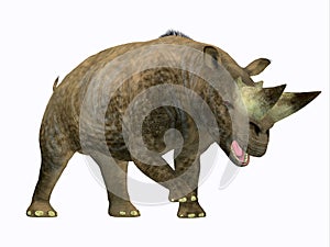 Arsinoitherium Mammal Side Profile photo