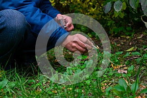 Arsonist is setting fire in the forest