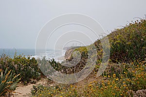 Arsuf cliff, a kurkar sandstone cliff nature reserve, high above the Mediterranean sea coastline.