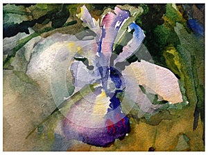 Watercolor art background abstract pattern floral magic flower garden wedding textured wet wash blurred fantasy