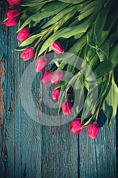 Art abstract background spring tulips wooden design