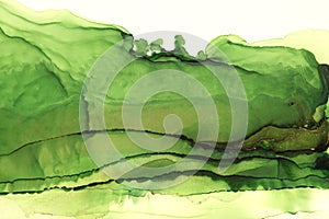 Art Abstract Green watercolor painting blots landscape horizontal background. Alcohol ink colors. Marble texture