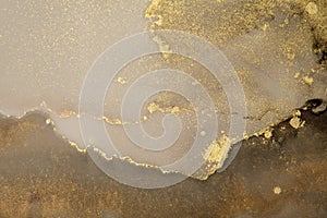 Art Abstract smoke watercolor painting blots horizontal background. Alcohol ink brown and gold glitter colors. Marble texture