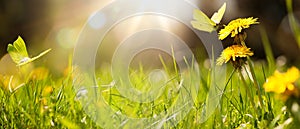 Art abstract spring background or summer background with fresh grass