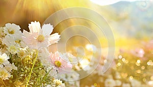 art abstract spring background or summer background with fresh grass