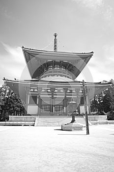 Art and architecture in ancient temples and shrines in Japan