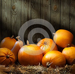 Art autumn Pumpkin thanksgiving backgrounds