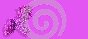 Art background of pink lilac flowers