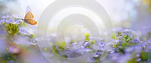 Art Beautiful Blurred Spring Background Nature With Blooming Glade and Fly Butterfly Against Blue Sunny Sky on a Happy Easter Day