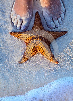 Art Beautiful female legs and starfish on the beach sand