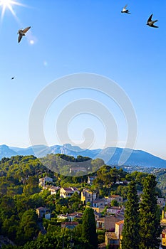 Art beautiful landscape in Provence