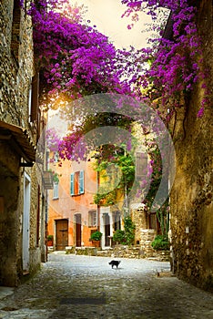 Art beautiful old town Provence